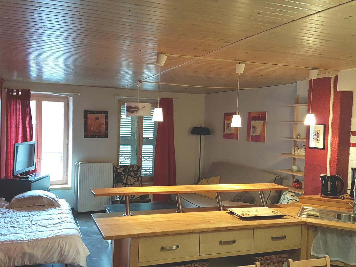 Home Nantua Studio Meubles Ain-Jura エクステリア 写真