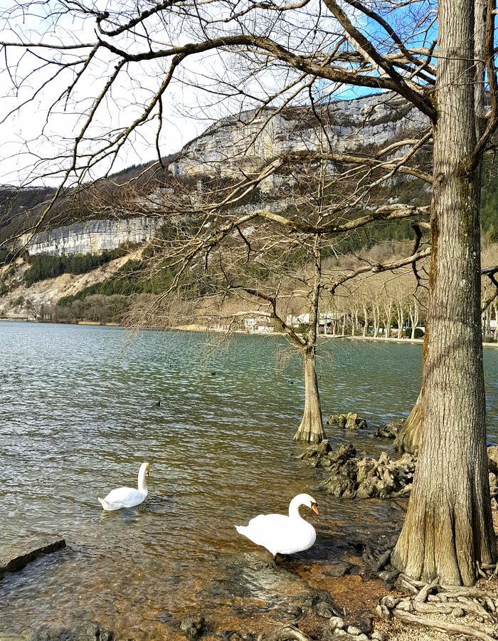 Home Nantua Studio Meubles Ain-Jura エクステリア 写真